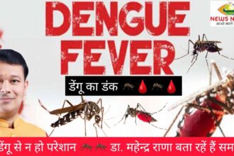 Dengue Full information | Dengue ke Symptoms (लक्षण), उपचार और बचाव 10 a