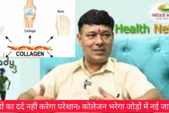 Arthritis Joint Pain ab nahi karega Pareshan👉 Arthritis me Collagen dega aapke joints ko nayi jaan 14 d