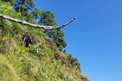 पिथौरागढ़ वडा चौकी क्षेत्रान्तर्गत खाई में गिरा एक व्यक्ति, SDRF ने किया शव बरामद 16 IMG 20231013 WA0019