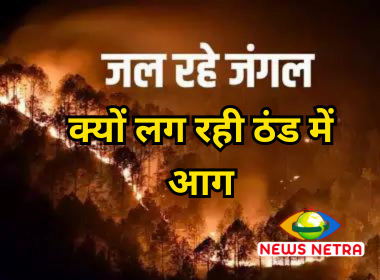 Uttarakhand Forest Fire : उत्तराखंड के जंगलों में क्यों लग रही ठंड में आग, क्या कर रहा वन विभाग 14 क्यों लग रही ठंड में आग