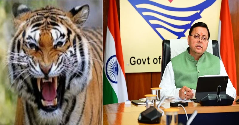 cm dhami worried about leopard and tiger attacks