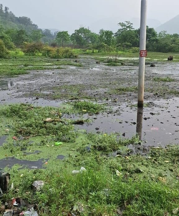 जिलाधिकारी सोनिका की पहल से रायपुर चौक में जलभराव समस्या का समाधान-Newsnetra 4 img 20240714 wa00025742938011555799574