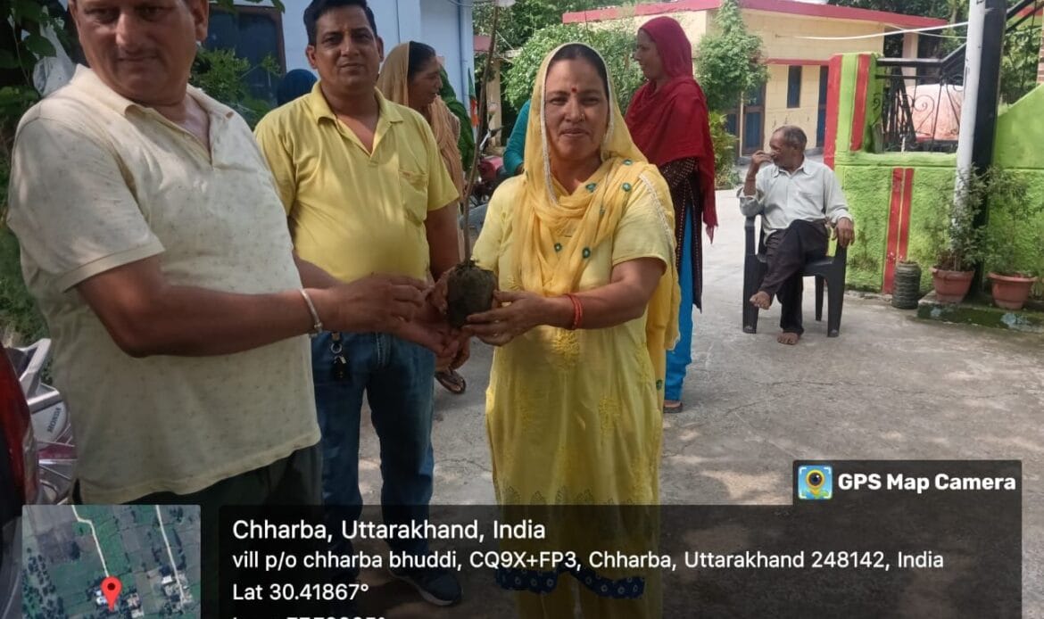 प्रतिष्ठा सेवा समिति ट्रस्ट द्वारा हरे पौधों का किया पौधारोपण तथा वितरण, लक्ष्य - 1 लाख पेड़ एवम संरक्षण-Newsnetra 19 img 20240719 wa00035468036693935053326