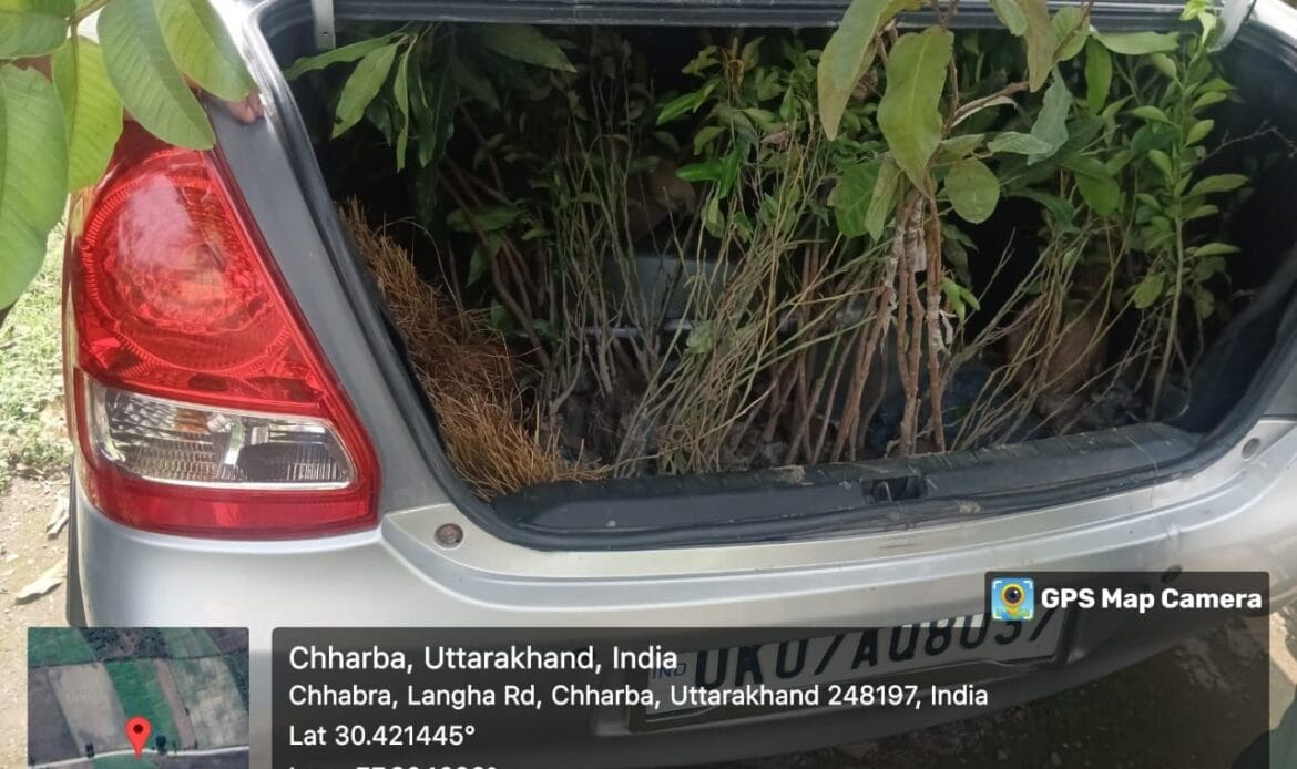 प्रतिष्ठा सेवा समिति ट्रस्ट द्वारा हरे पौधों का किया पौधारोपण तथा वितरण, लक्ष्य - 1 लाख पेड़ एवम संरक्षण-Newsnetra 20 img 20240719 wa00042791421971472422982