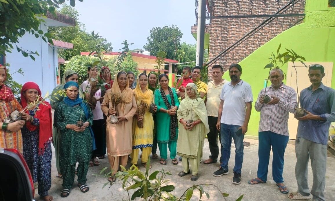 प्रतिष्ठा सेवा समिति ट्रस्ट द्वारा हरे पौधों का किया पौधारोपण तथा वितरण, लक्ष्य - 1 लाख पेड़ एवम संरक्षण-Newsnetra 23 img 20240719 wa0005868498902774551058
