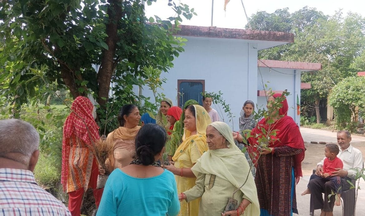 प्रतिष्ठा सेवा समिति ट्रस्ट द्वारा हरे पौधों का किया पौधारोपण तथा वितरण, लक्ष्य - 1 लाख पेड़ एवम संरक्षण-Newsnetra 15 img 20240719 wa00068617279390728397671