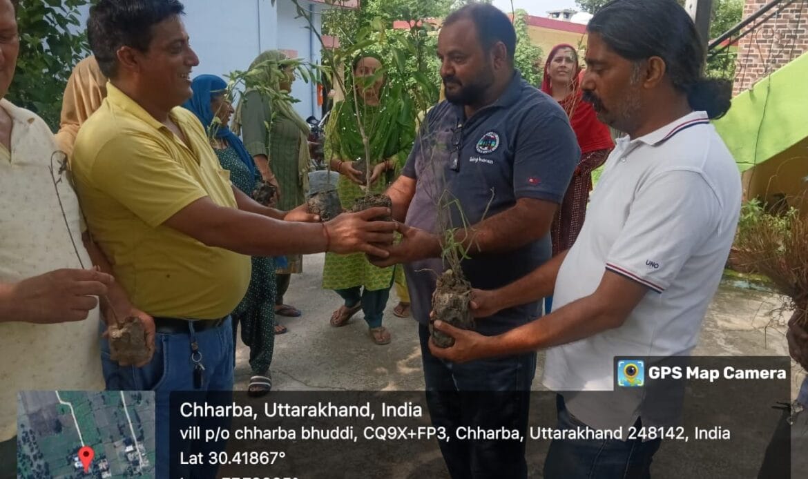 प्रतिष्ठा सेवा समिति ट्रस्ट द्वारा हरे पौधों का किया पौधारोपण तथा वितरण, लक्ष्य - 1 लाख पेड़ एवम संरक्षण-Newsnetra 10 img 20240719 wa00127023697793490389131