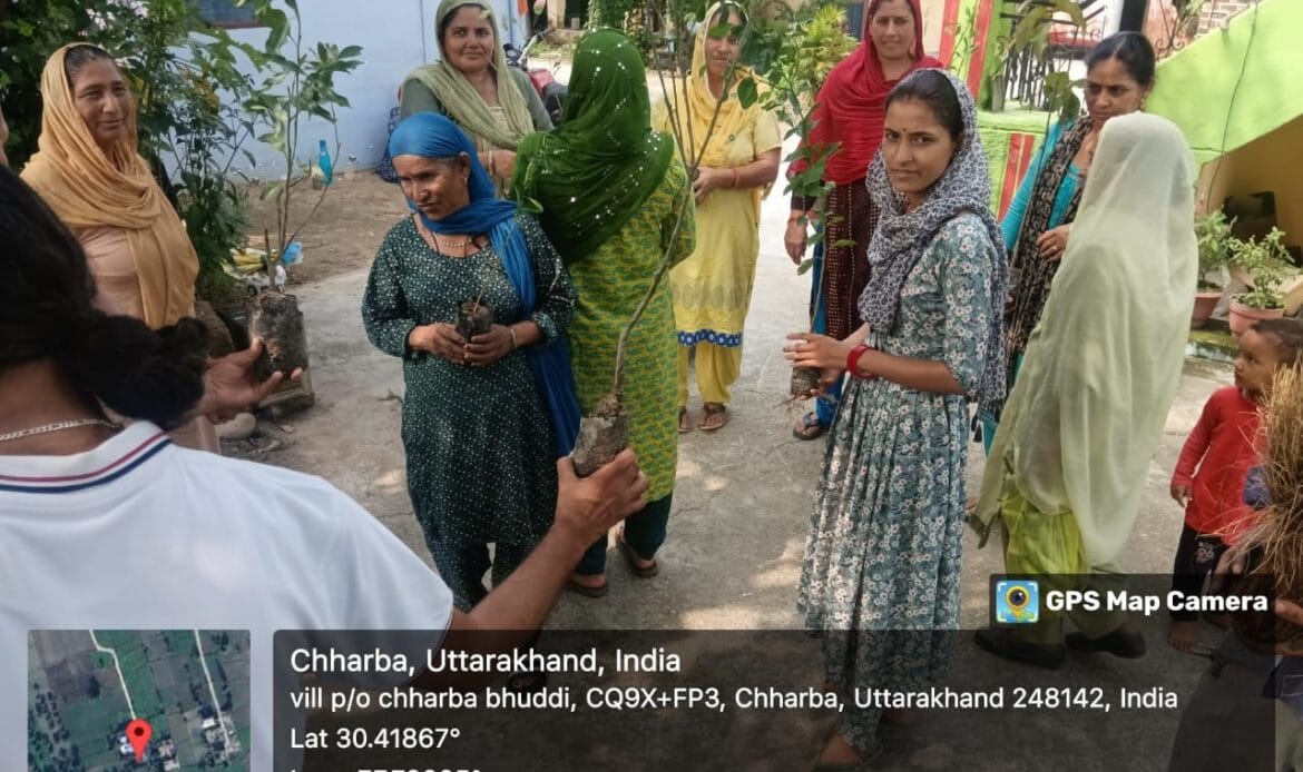प्रतिष्ठा सेवा समिति ट्रस्ट द्वारा हरे पौधों का किया पौधारोपण तथा वितरण, लक्ष्य - 1 लाख पेड़ एवम संरक्षण-Newsnetra 11 img 20240719 wa00151395417858028642025
