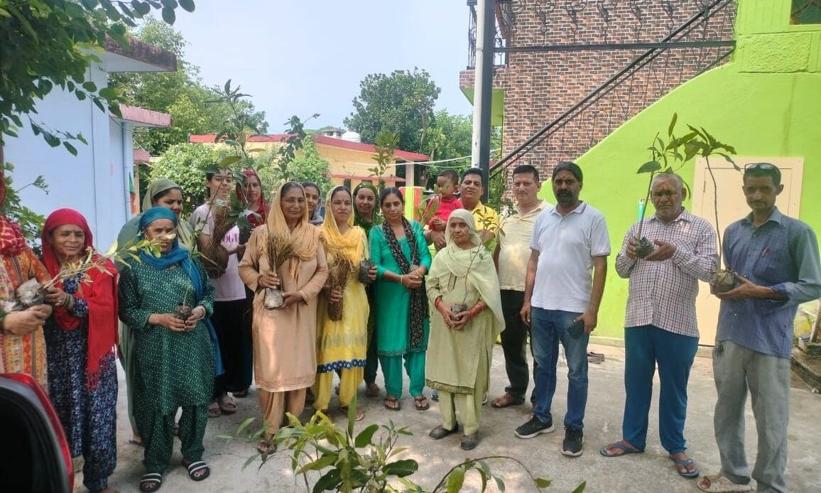 प्रतिष्ठा सेवा समिति ट्रस्ट द्वारा हरे पौधों का किया पौधारोपण तथा वितरण, लक्ष्य - 1 लाख पेड़ एवम संरक्षण-Newsnetra 4 img 20240719 wa00165273789985235220372