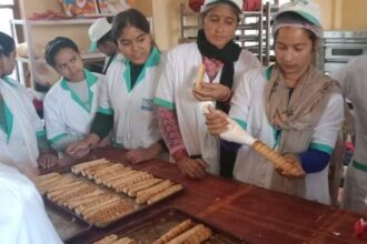 FB IMG 1732638283252