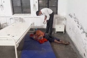 IMG 20241110 22284506