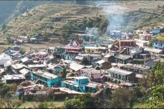 IMG 20241111 22383915