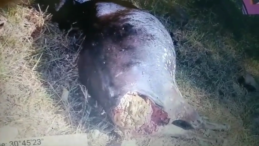 IMG 20241115 15025093