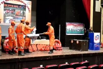 IMG 20241121 18474801