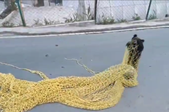 Screenshot 2024 11 22 223730