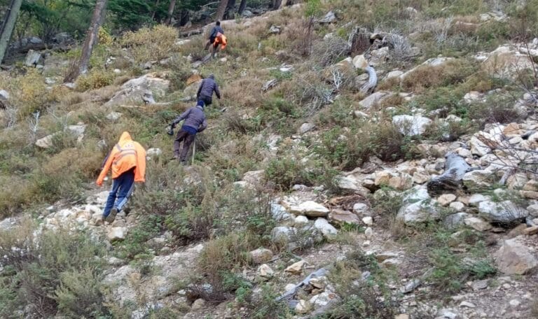 WhatsApp Image 2024 11 05 at 09.53.40 c3fd3561