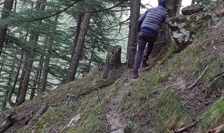 WhatsApp Image 2024 11 05 at 09.53.41 2eafac8c