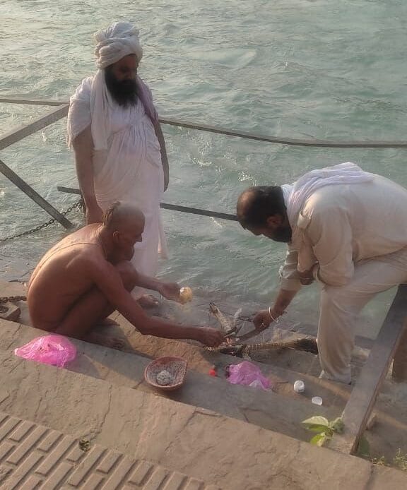 img 20241103 wa00005404646408675100036