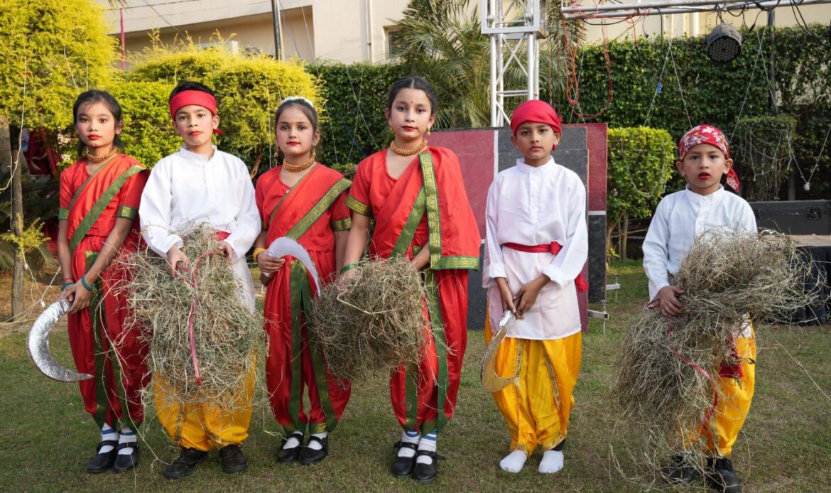 img 20241116 wa00074608687014113780136