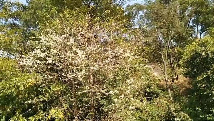 img 20241111 223826958281727018988838699