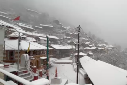 1000519947 1735212874