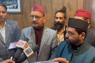 IMG 20241202 17070813