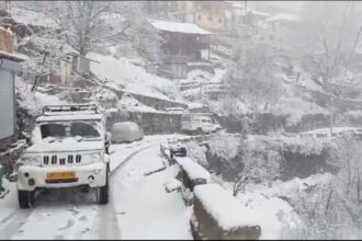 Screenshot 20241224 095511 WhatsApp