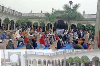 FB IMG 1735744501016