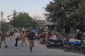 IMG 20250123 21182169