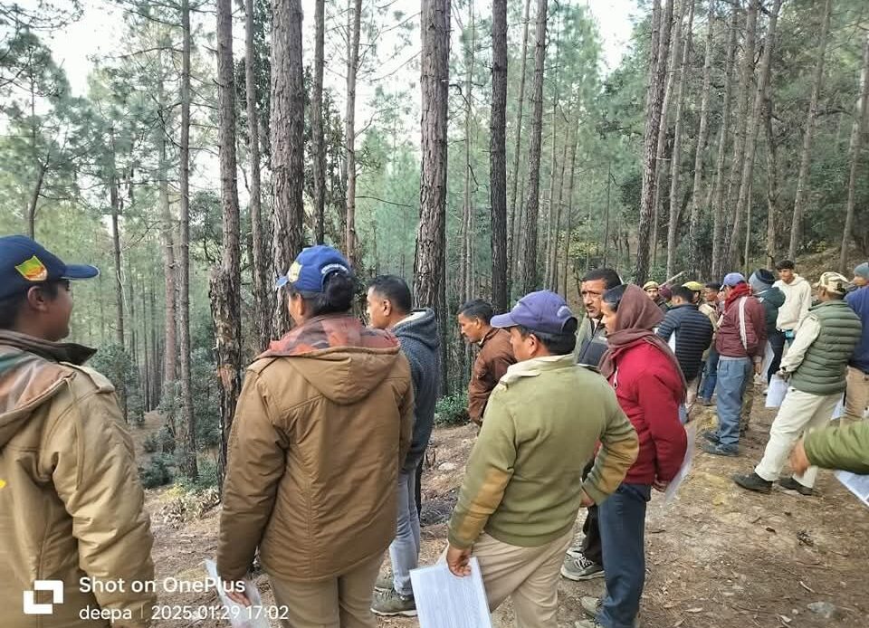 fb img 17382499291011669353706611088991