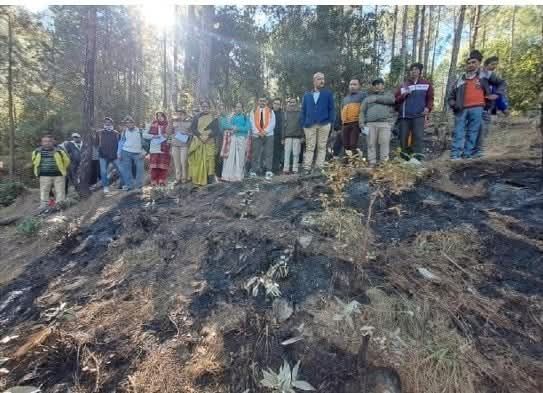 fb img 17382499368243289572275532518968