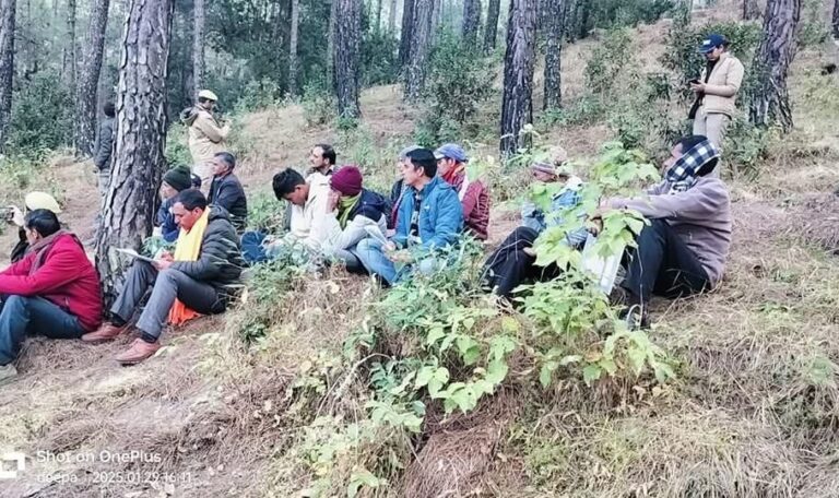 fb img 17382499419584677833740025941305