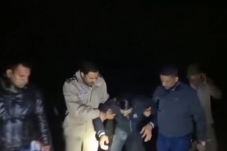 image editor output image 114564363 1736180081376