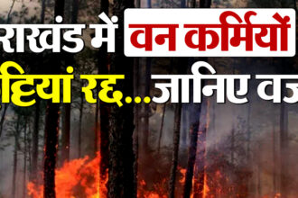 2025 2image 15 18 06071551281 e1739603787483