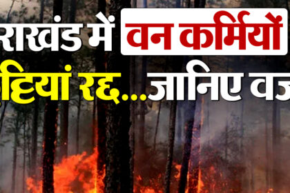 2025 2image 15 18 06071551281 e1739603787483