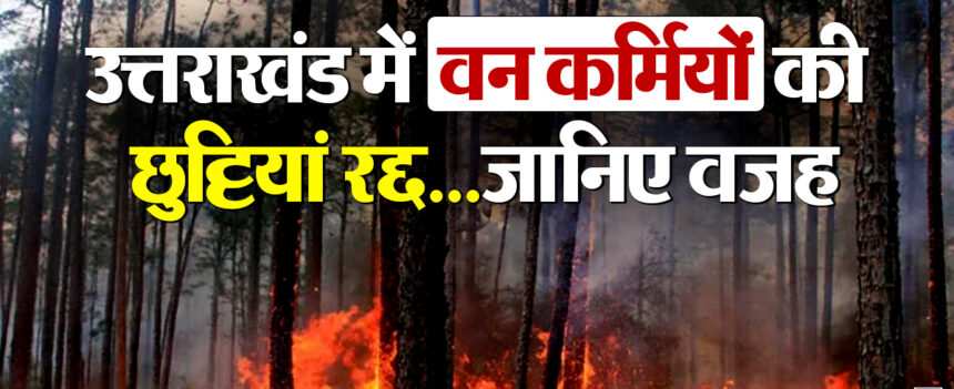 2025 2image 15 18 06071551281 e1739603787483