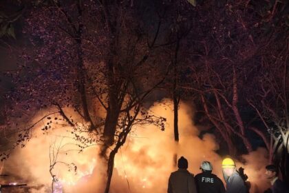 FB IMG 1739203897857