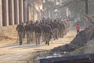 IMG 20250203 21123145