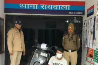 image editor output image 1675281749 1740675653197