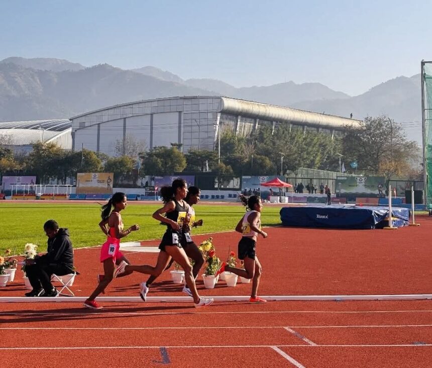 image editor output image1558746665 1739003944737