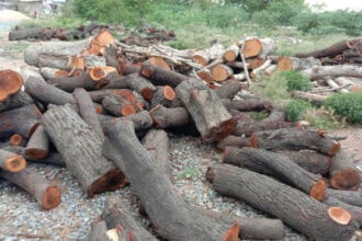 उत्तराखंड वन संरक्षण पर सवाल : 188 हेक्टेयर जंगलों में जेसीबी, CAG Report 2025 में चौंकाने वाला खुलासा-Newsnetra