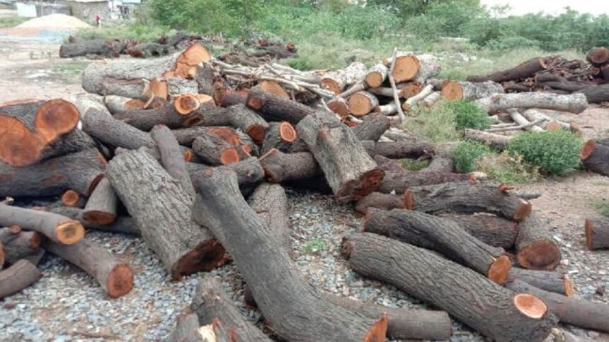 उत्तराखंड वन संरक्षण पर सवाल : 188 हेक्टेयर जंगलों में जेसीबी, CAG Report 2025 में चौंकाने वाला खुलासा-Newsnetra