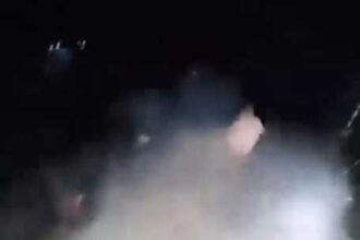 Screenshot 20250311 193131 WhatsApp