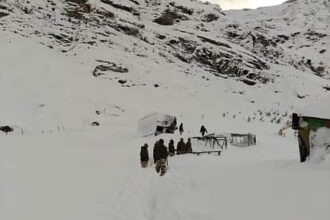 camal hamasakhalna 1b3aa4720ad195324d78cb15abf64e01 1