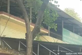 IMG 20250423 20473072