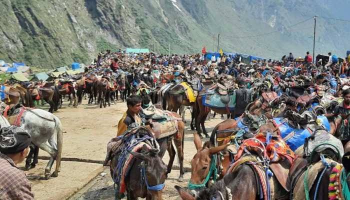 चारधाम यात्रा से पहले घोड़े-खच्चरों की मेडिकल जांच अनिवार्य, क्वारंटीन सेंटर भी तैयार-Newsnetra 3 images 1 10