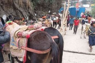 केदारनाथ यात्रा में बीमार घोड़ा-खच्चरों के लिए क्वारंटीन सेंटर स्थापित, कोटमा और फाटा में व्यवस्था-Newsnetra 10 kedarnath beb24c0eb7d73627dfa4a6b018101aa7