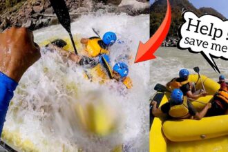 Rishikesh Rafting : ऋषिकेश में राफ्टिंग के दौरान बड़ा हादसा, देहरादून के युवक सागर नेगी की नदी में डूबने से मौत-Newsnetra 8 maxresdefault 20