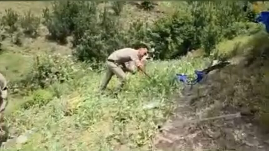 "ड्रग्स फ्री देवभूमि" अभियान के तहत दून पुलिस की बड़ी कार्रवाई: त्यूनी में अफीम की खेती नष्ट-Newsnetra 3 Screenshot 2025 05 17 19 28 10 80 a23b203fd3aafc6dcb84e438dda678b6