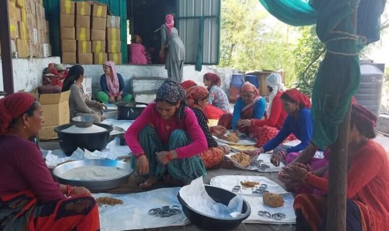 चारधाम यात्रा बनी महिलाओं की आजीविका का आधार, रुद्रप्रयाग के 150 समूहों को मिला रोजगार-Newsnetra 6 fb img 17464647723836486397356365532586